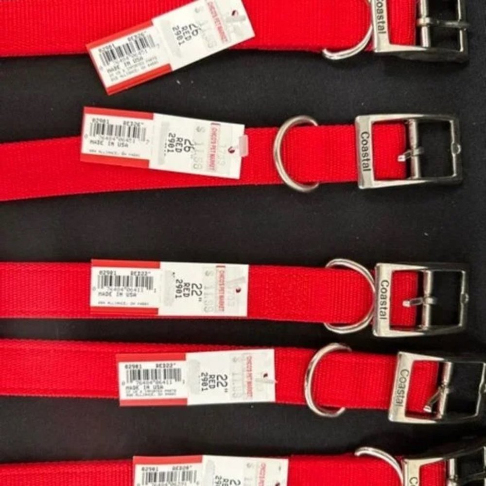 Harnesses and Collars - Picture 9 of 10